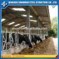 Estructura de acero de bajo costo Casa prefabricada de vaca Casa de cabra Casa de campo